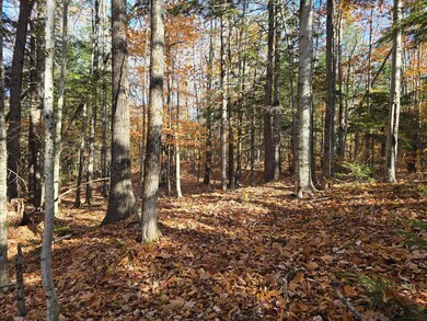 00 Bull Pasture Rd, Eaton, NH 03832 - photo 3