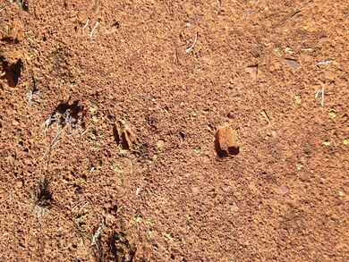 165 Off of Rocky Rd, Ash Fork, AZ 86320 - photo 7