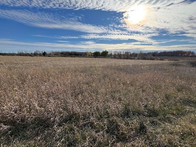 409 S Morrison Rd, West Branch, MI 48661 - photo 2