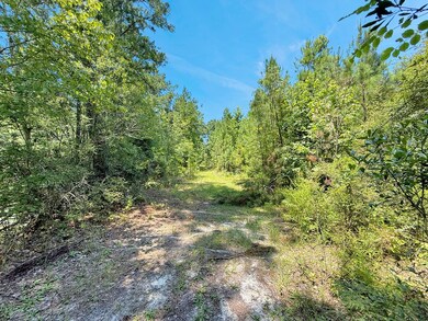 1056 Hempstead Church Rd, Pavo, GA 31778 - photo 7