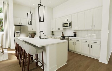The Jasmine - Kitchen
