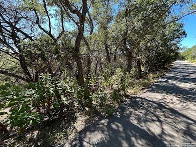 944 Olive Tree, Canyon Lake, TX 78133 - photo 6