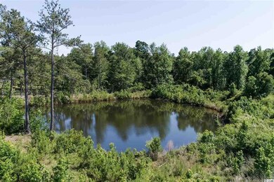 3339 W Highway 501 unit TBD SC HWY 548 at US, Conway, SC 29527 - photo 3