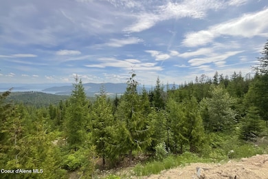 1728 Rugged Trail, Sagle, ID 83860 - photo 3