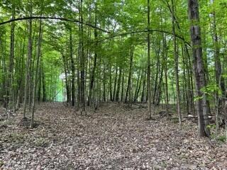 Gorgeous 15 ac near Traverse City