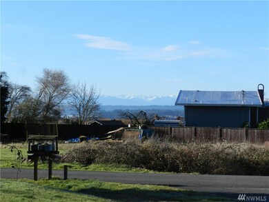 8800 286th Place NW, Stanwood, WA 98292 - photo 5