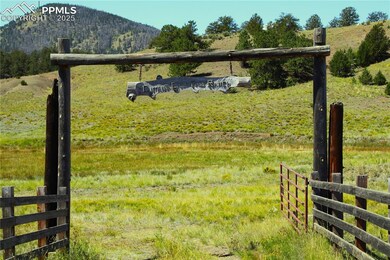 0 State Hwy unit 2777877, Guffey, CO 80820 - photo 6