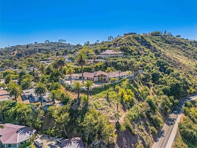 Aerial Shot