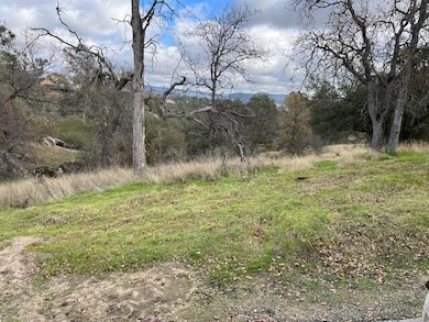 28729 Long Hollow Ct S, Yosemite Lakes, CA 93614 - photo 5