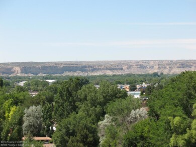 2825 Brittlebrush Dr, Farmington, NM 87402 - photo 6