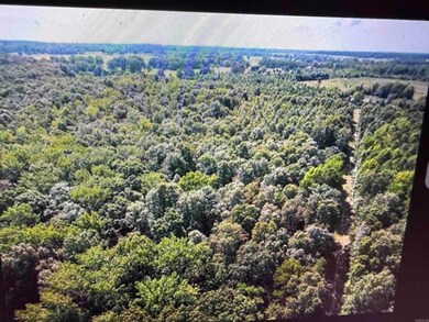 141 Duncan Rd, Poughkeepsie, AR 72569 - photo 4