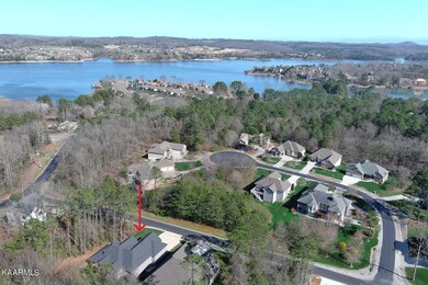 aerial
