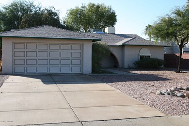 5219CHOLLA