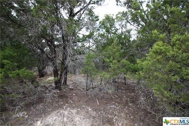 5110 Goliad Dr, Temple, TX 76502 - photo 3