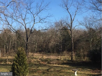 1258 Wadesville Rd, Berryville, VA 22611 - photo 2