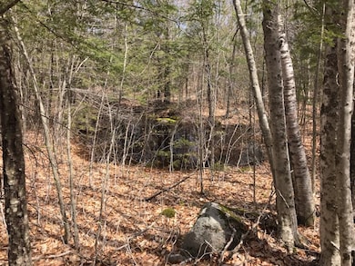 305 Middleton Rd, Milton, NH 03851 - photo 3