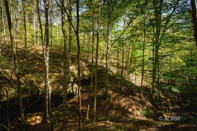 0000 Little Kyger Rd, Cheshire, OH 45620 - photo 4