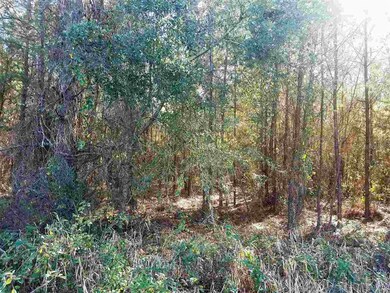 0000 SW Cherrywood Way, Lake City, FL 32025 - photo 5