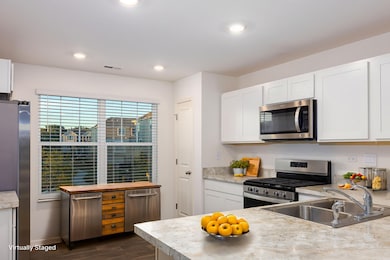 3831 Currant Ln, Elgin, IL 60124 - photo 6