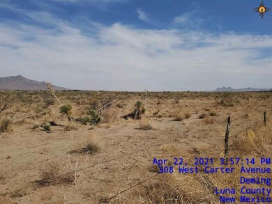 00 Avenura Rd SE, Deming, NM 88030 - photo 7