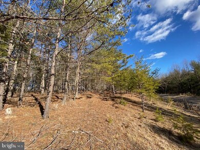 Lot 25 Slate Rock Slate Rock Pass Rd, Wardensville, WV 26851 - photo 2