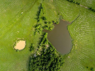 165 Acres Turner Ln, Franklin, TX 77856 - photo 3