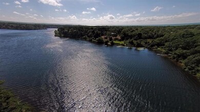 Aerial of Great Pond