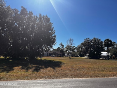 Lot 91 Lindsay Ln, Crescent City, FL 32112 - photo 2