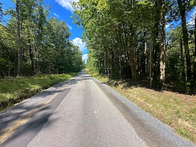 0 Muddy Creek Mountain Rd, Lewisburg, WV 24901 - photo 7