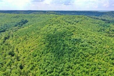 0 Mayberry Prong Rd unit 2182866, Linden, TN 37096 - photo 2