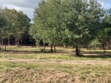 4160 County Road 326 Lot 20, Alvin, TX 77511 - photo 4