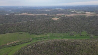 tbd Cty13, Pleasant Hill Township, MN 55943 - photo 3