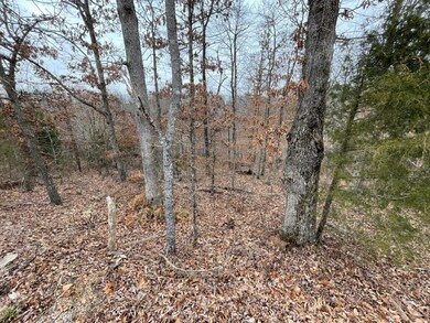 Lot 12 Savidge Cir, Bella Vista, AR 72715 - photo 5