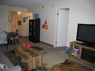 280 Harvard St unit LA, Cambridge, MA 02139 - photo 5