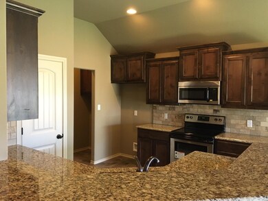 4211 Jasper Ln, Granbury, TX 76049 - photo 2