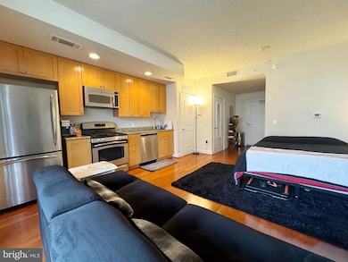 The Eclipse unit 249, Arlington, VA 22202 - photo 3