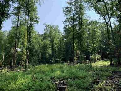 Lot 3 TBD Cherry Hill Rd, Stone Ridge, NY 12484 - photo 3