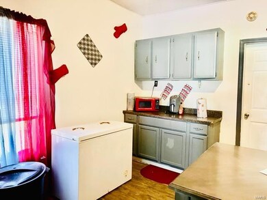 930 2nd St, New Madrid, MO 63869 - photo 3