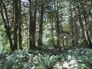 0 Deer Park Ln, Toledo, WA 98591 - photo 3