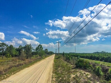 21051 Carter Rd, Estero, FL 33928 - photo 5