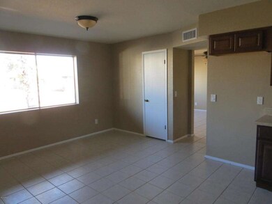 Olmo cir 018