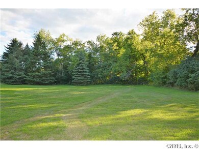 Backyard.
