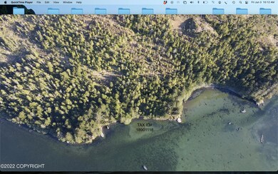 Aerial Tract A with Corners