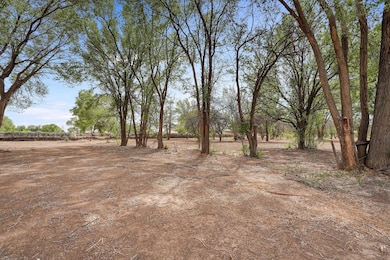 40 Blue Sky, Corrales, NM 87048 - photo 4