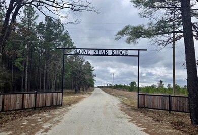 0 unit 46148677, Lovelady, TX 75851 - photo 7