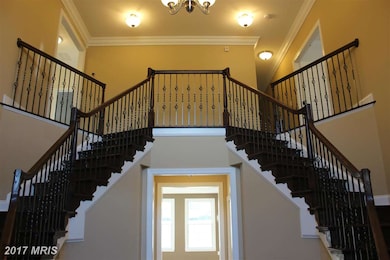 4803 River Crossing Ct, Ellicott City, MD 21042 - photo 3