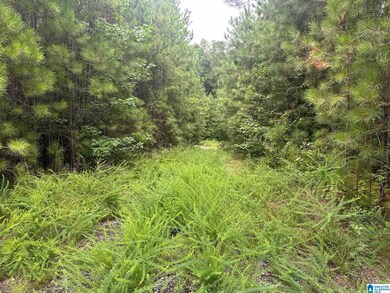 715 Fallview Ct, Odenville, AL 35120 - photo 4