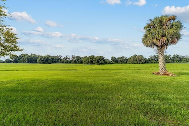 17176 N US Highway 441, Reddick, FL 32686 - photo 6