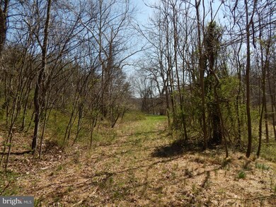 0 Highland Ridge Rd unit 1000167637, Berkeley Springs, WV 25411 - photo 4