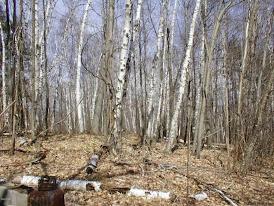 L20.2 Goldey Rd, Huletts Landing, NY 12841 - photo 5